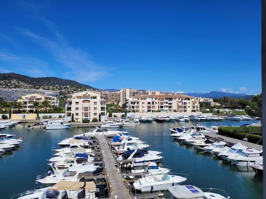 Ginkgo Studio - Piscine, Proche De La Mer, Golf, Wifi Mandelieu Dış mekan fotoğraf